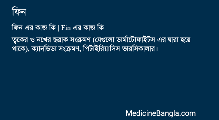ফিন এর কাজ ফিন in Bangla