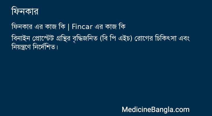 ফিনকার এর কাজ ফিনকার in Bangla