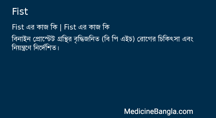 Fist এর কাজ Fist in Bangla