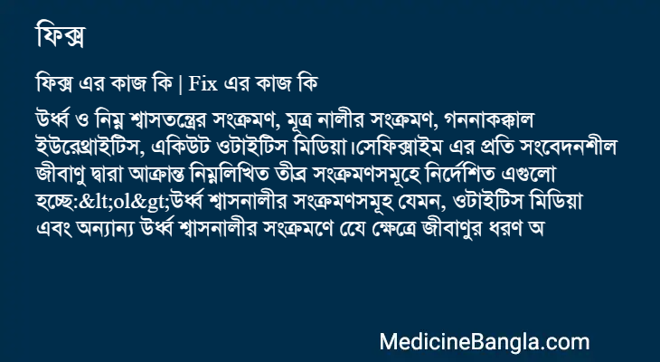 ফিক্স এর কাজ ফিক্স in Bangla