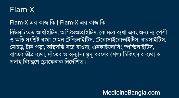 Flam-X এর কাজ Flam-X in Bangla