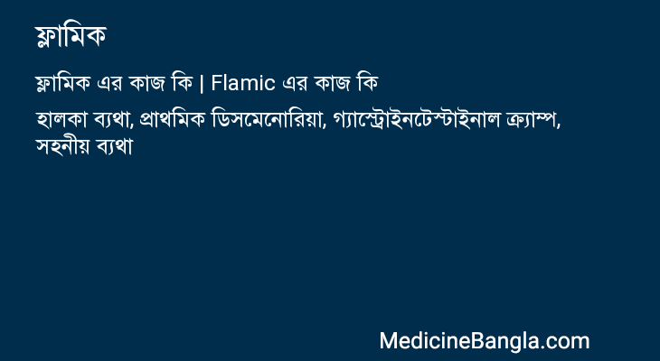 ফ্লামিক এর কাজ ফ্লামিক in Bangla