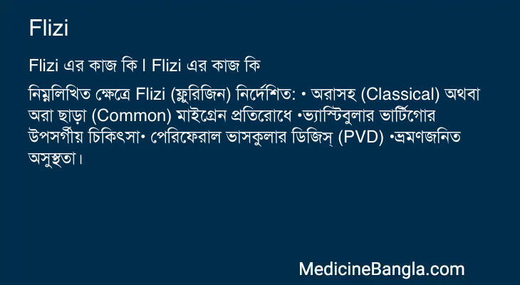 Flizi এর কাজ Flizi in Bangla