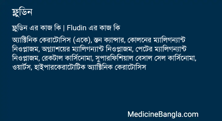 ফ্লুডিন এর কাজ ফ্লুডিন in Bangla