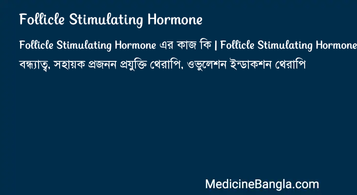 Follicle Stimulating Hormone এর কাজ Follicle Stimulating Hormone in Bangla