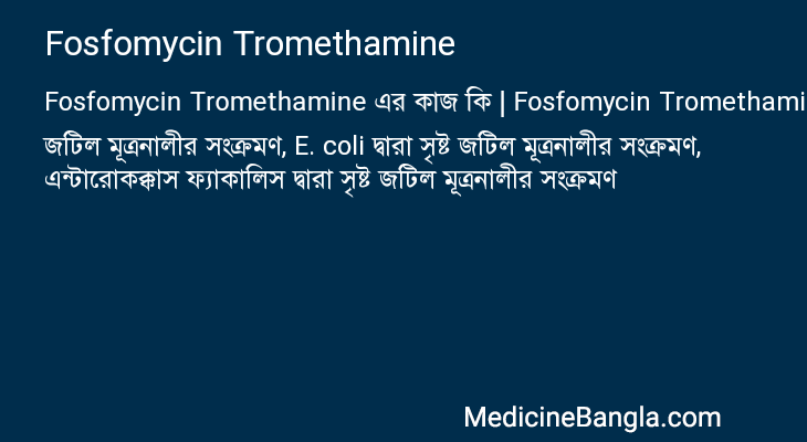 Fosfomycin Tromethamine এর কাজ Fosfomycin Tromethamine in Bangla