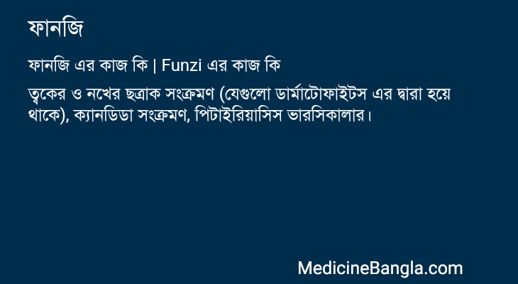 ফানজি এর কাজ ফানজি in Bangla