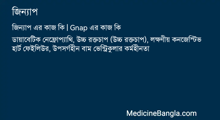 জিন্যাপ এর কাজ জিন্যাপ in Bangla