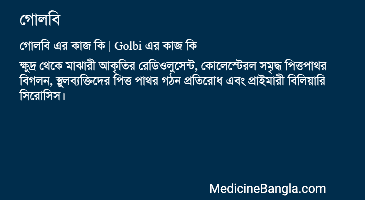 গোলবি এর কাজ গোলবি in Bangla
