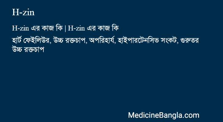 H-zin এর কাজ H-zin in Bangla