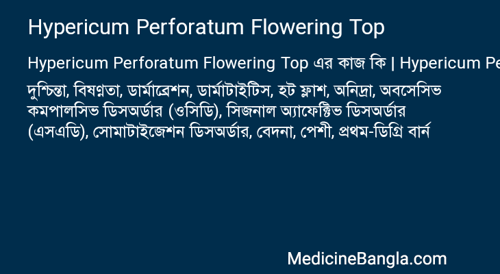 Hypericum Perforatum Flowering Top এর কাজ Hypericum Perforatum Flowering Top in Bangla