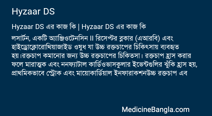 Hyzaar DS এর কাজ Hyzaar DS in Bangla