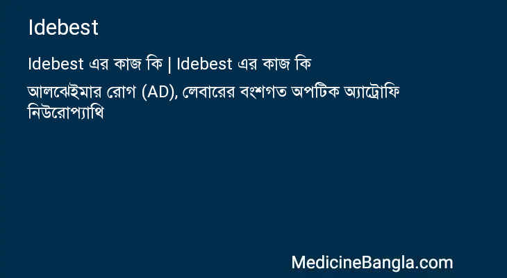 Idebest এর কাজ Idebest in Bangla