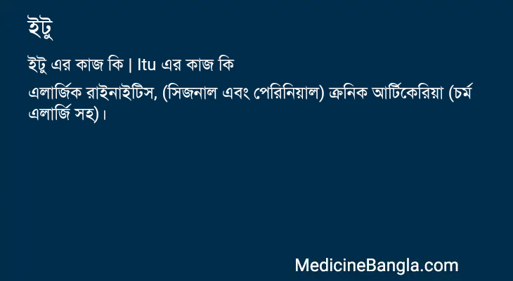 ইটু এর কাজ ইটু in Bangla