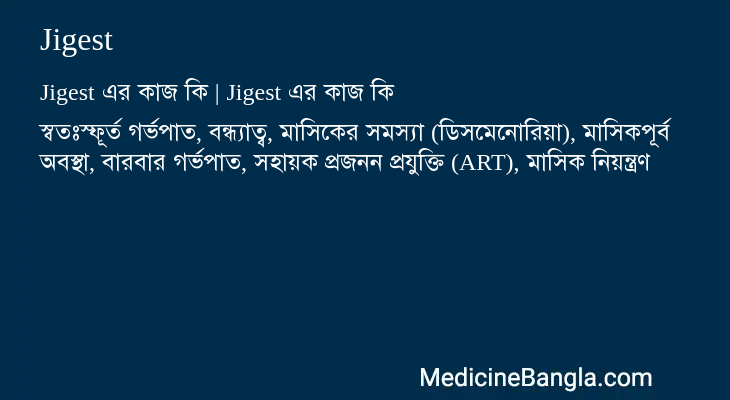 Jigest এর কাজ Jigest in Bangla