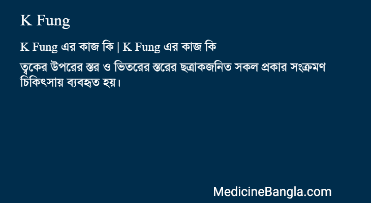 K Fung এর কাজ K Fung in Bangla