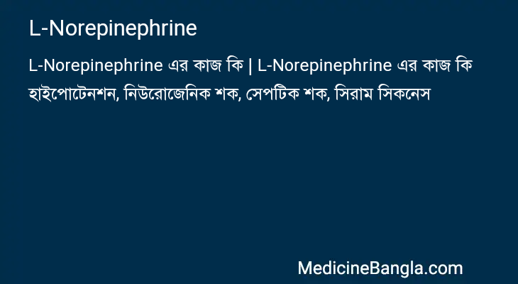 L-Norepinephrine এর কাজ L-Norepinephrine in Bangla