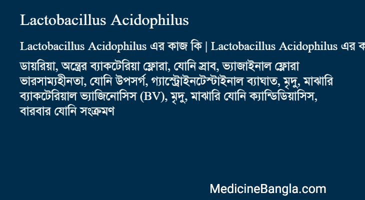 Lactobacillus Acidophilus এর কাজ Lactobacillus Acidophilus in Bangla