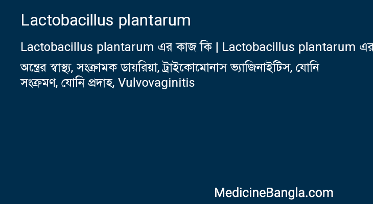 Lactobacillus plantarum এর কাজ Lactobacillus plantarum in Bangla