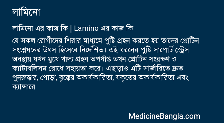 লামিনো এর কাজ লামিনো in Bangla