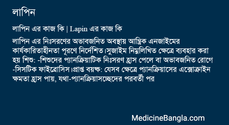 লাপিন এর কাজ লাপিন in Bangla