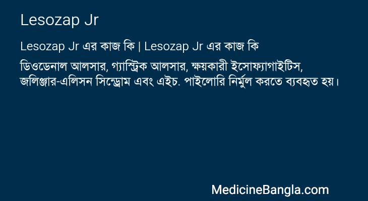 Lesozap Jr এর কাজ Lesozap Jr in Bangla