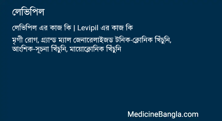 লেভিপিল এর কাজ লেভিপিল in Bangla