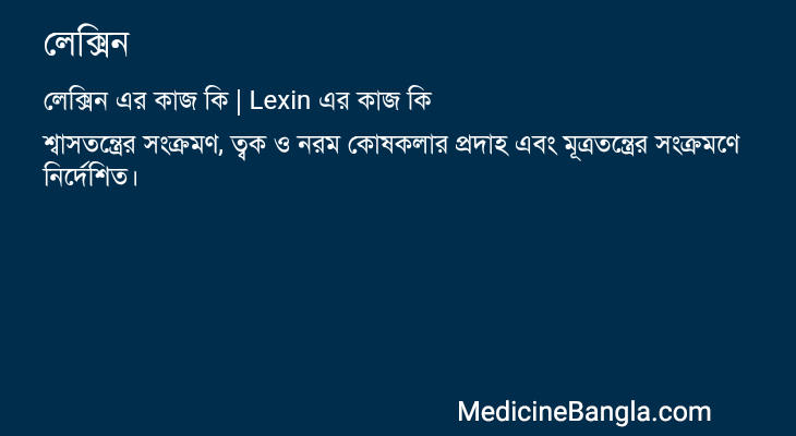 লেক্সিন এর কাজ লেক্সিন in Bangla