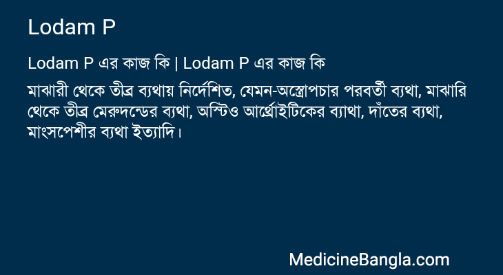 Lodam P এর কাজ Lodam P in Bangla