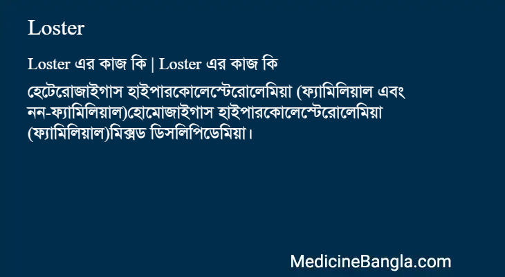 Loster এর কাজ Loster in Bangla
