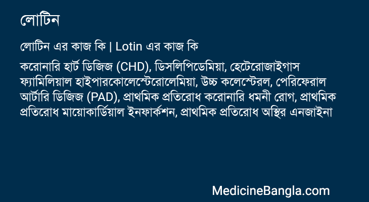 লোটিন এর কাজ লোটিন in Bangla