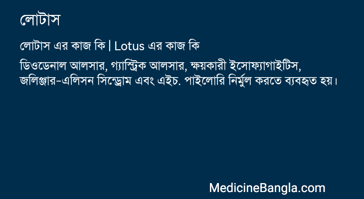 লোটাস এর কাজ লোটাস in Bangla