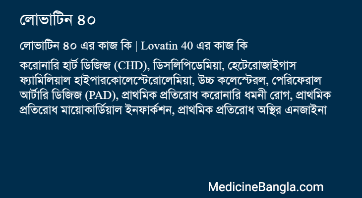 লোভাটিন ৪০ এর কাজ লোভাটিন ৪০ in Bangla