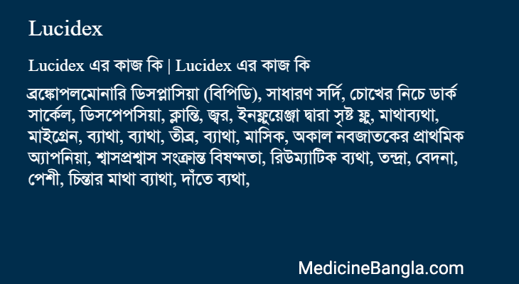 Lucidex এর কাজ Lucidex in Bangla