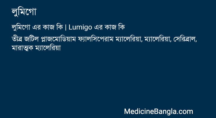 লুমিগো এর কাজ লুমিগো in Bangla