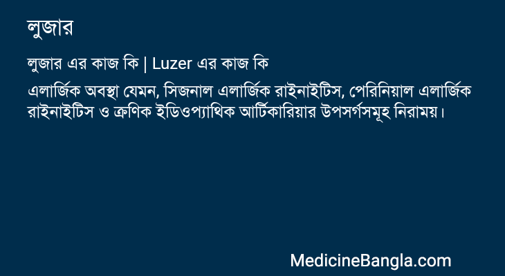 লুজার এর কাজ লুজার in Bangla