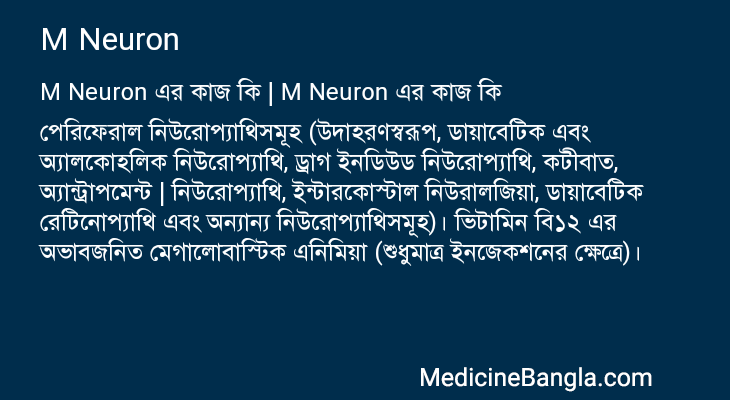 M Neuron এর কাজ M Neuron in Bangla