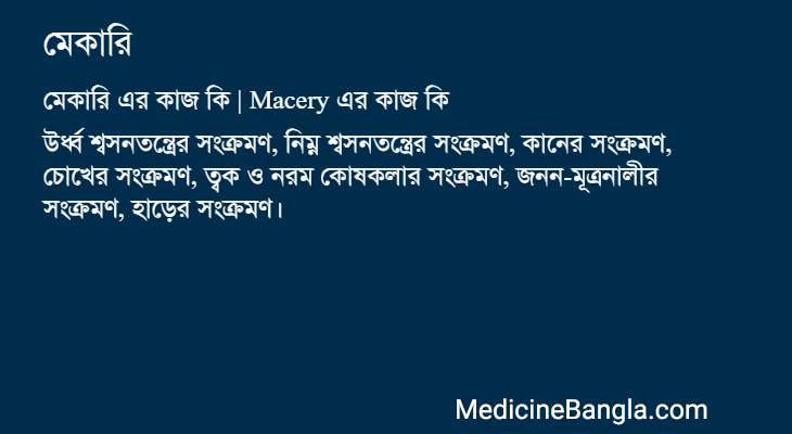 মেকারি এর কাজ মেকারি in Bangla