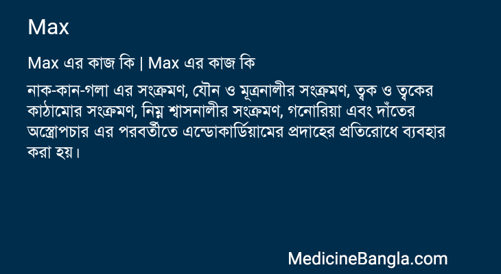 Max এর কাজ Max in Bangla
