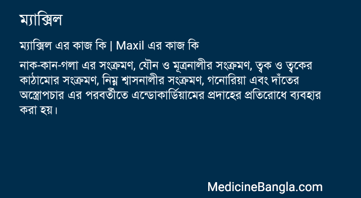 ম্যাক্সিল এর কাজ ম্যাক্সিল in Bangla