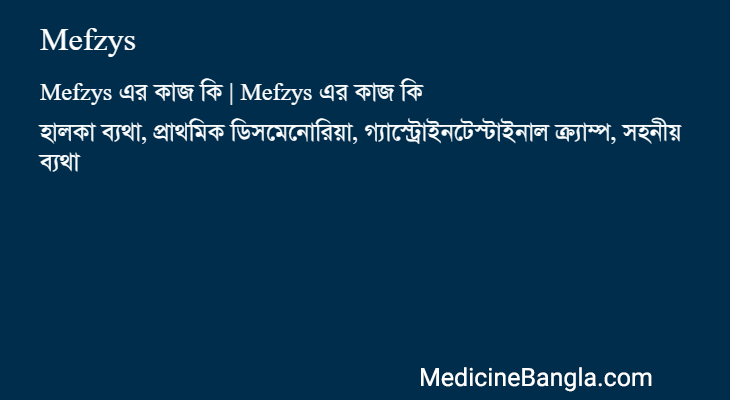 Mefzys এর কাজ Mefzys in Bangla