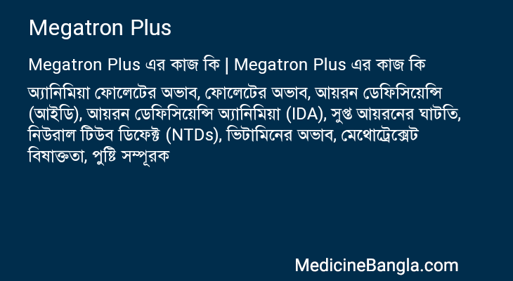Megatron Plus এর কাজ Megatron Plus in Bangla