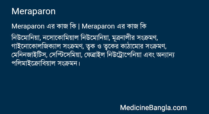 Meraparon এর কাজ Meraparon in Bangla