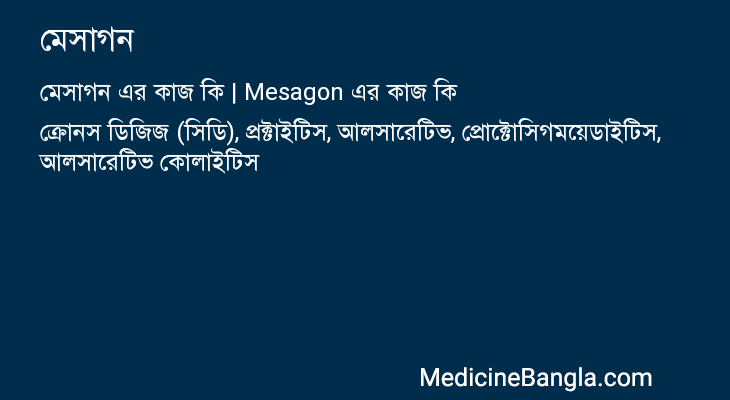মেসাগন এর কাজ মেসাগন in Bangla