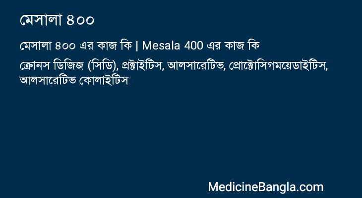 মেসালা ৪০০ এর কাজ মেসালা ৪০০ in Bangla