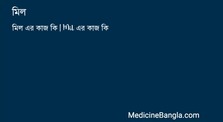 মিল এর কাজ মিল in Bangla
