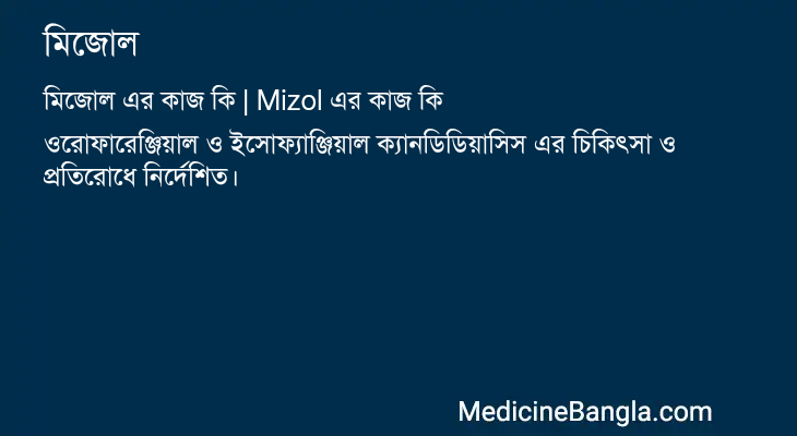 মিজোল এর কাজ মিজোল in Bangla