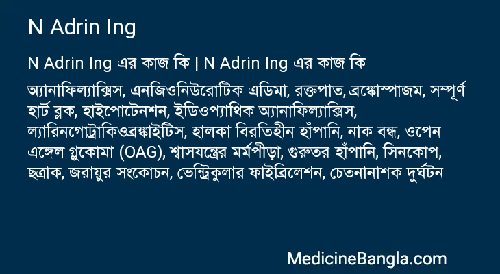 N Adrin Ing এর কাজ N Adrin Ing in Bangla