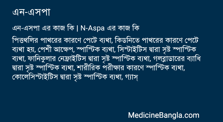 এন-এসপা এর কাজ এন-এসপা in Bangla