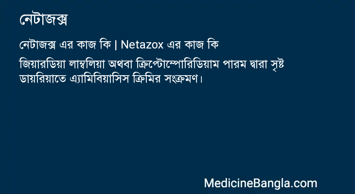 নেটাজক্স এর কাজ নেটাজক্স in Bangla